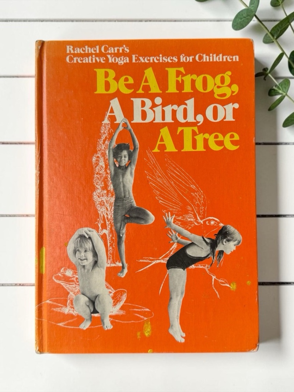 Vintage 1973 Be a Frog, a Bird, or a Tree Rachel Carr Children’s Yoga Hardcover